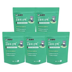 슈와냥 오후의 산책 300g 강아지영양제 관절 영양제, 뼈/관절강화, 5개