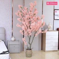 0086bea3c5088814b0e807779c509c30da05d323d2d8e83aeb7e0acb45f0.jpg