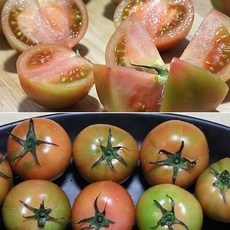 대저토마토(부산)