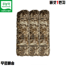 버섯1번지 장흥 무농약 국내산 표고버섯 배지 1개 가정용, kg
