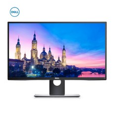 DELL Professional LED 모니터 22인치 P2217H