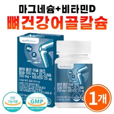 골반뼈