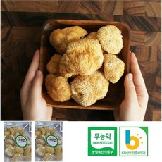 충북 진천 무농약 건 노루궁뎅이버섯 100g, 1개