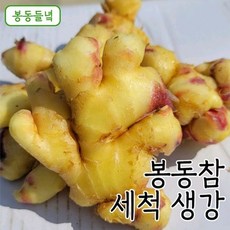 봉동들녘생강진액