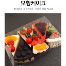 블루베리모형