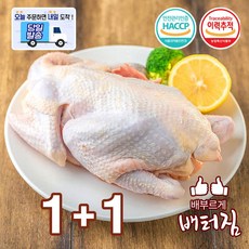 (배터짐) 쫄깃한 식감 노계닭 산란계 폐계닭 노계, 1.5kg, 2개