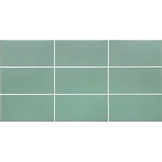 HS 비비드 민트 도기질타일 무광 300X600, 1개