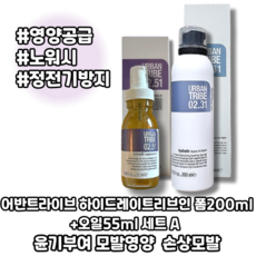 [본사정품] 하이드레이트 리브인 폼200ml +오일55ml 세트A 윤기부여 모발영양 손상모발, 1개, 255ml