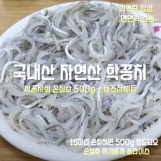 [산지직송] 국내산 자연산 통영 학꽁치회 15마리 손질후 500g + 회초장세트, 1세트