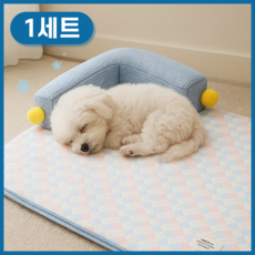 애아리빙 반려동물 통기성 시원한 쿠션 쿨매트, 블루핑크, 1개