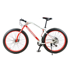 삼천리로드스타