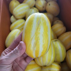 못난이흠집 성주 참외 혼합 랜덤 2kg (기본포장)