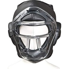 이사미포수형헤드기어