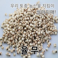 쌀아지매율무