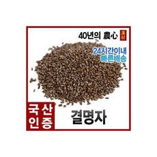 결명자차 600g 말린 결명자 자애인, 결명자차 600g 말린 결명자 결명자차