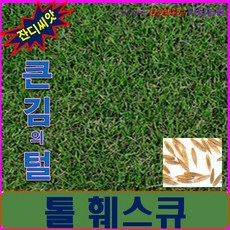 잔디씨앗/비탈면식재/톨훼스큐 -씨앗 3kg (약30평용), 상세페이지 참조