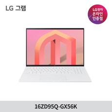 LG전자 그램 16ZD95Q-GX56K 40.6cm 대화면 초고해상도 노트북, Free DOS, 16GB, 256GB, 코어i5, 화이트