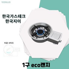 한국지이