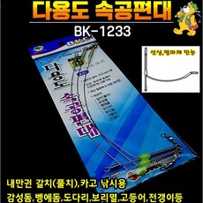 갈치편대채비