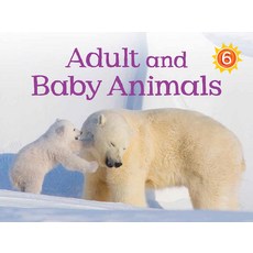Adult and Baby Animals (English) Paperback, Inhabit Education Books Inc., English, 9781772660838