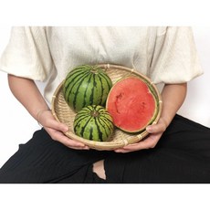 비파괴스캐너국산