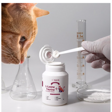  고양이 허피스 약 길 고양이 구내염 감기 재채기 약 영양제 