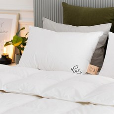 [소프라움] 사르르 헝가리30 구스다운 베개솜 1000g (50X70), 화이트/(MDS22AS01P12WH50*70), 1개