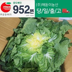 해돋이농산 국내산 봄동 배추 봄배추 1kg 3kg 8kg, 1개