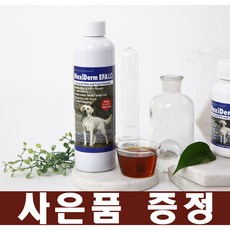 맥시워터미끄럼틀