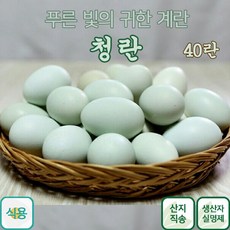 청계란