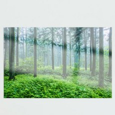 추천9제주유채꽃명소