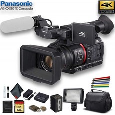 Panasonic AG-CX350 4K 캠코더 (AG-CX350) W / 패딩 케이스 128GB 메모리 카드 와이어 스트랩 LED 조명 등, 단일옵션