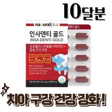 치아 잇몸 건강 잇니플러스 프리미엄 프로폴리스