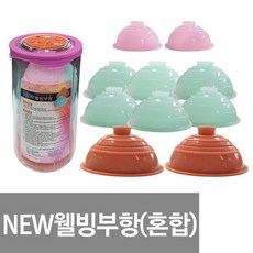 실리콘왕부황기 TOP01