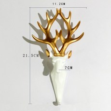 안나수지코트