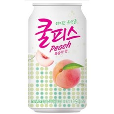 쿨피스뚱캔