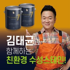 더페밀리7 마이칼라김태균수성스테인1L, 갈색