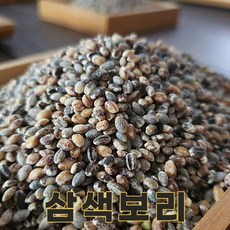 밥보야 23년산 국산 삼색보리 1kg 삼색보리쌀, 1개