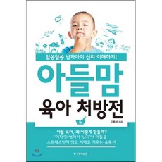 아들맘 육아 처방전 : 알쏭달쏭 남자아이 심리 이해하기!, 한국경제신문i