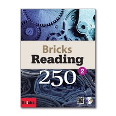 브릭스리딩250