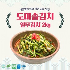 도미솔 [도미솔김치] 열무김치 2kg, 1