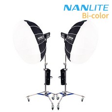 난라이트forza300