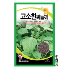 고소한씨들깨 20g / 들깨씨앗 들깨씨 깻잎씨앗 깻잎씨