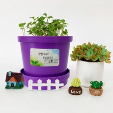 더포레스트스팀