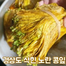 물콩잎