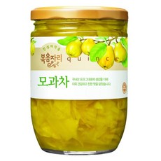 복음자리 모과차, 480g, 1개입, 1개