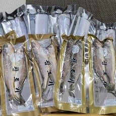 제주갈치티비