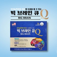 약국 포스파티딜세린 빅브레인큐 은행잎추출물 기억력 인지력개선