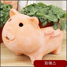 애니멀 큐티 화분 고양이 조화화분 공화분 아크릴화분 화분용기 인테리어화분 ycxg