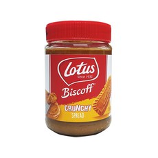 티파니스크런치
